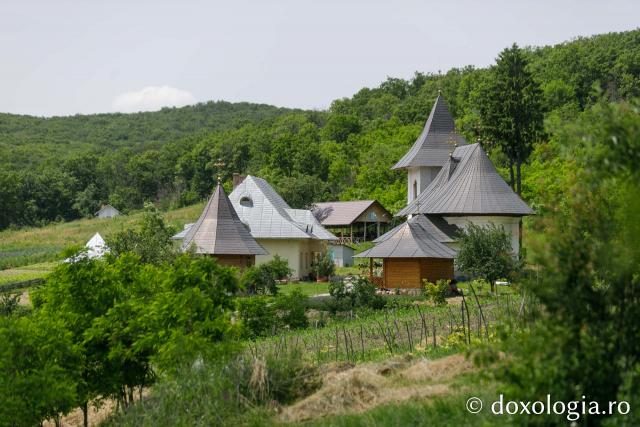 Mănăstirea Cozancea