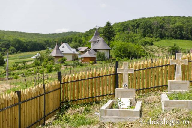 Mănăstirea Cozancea