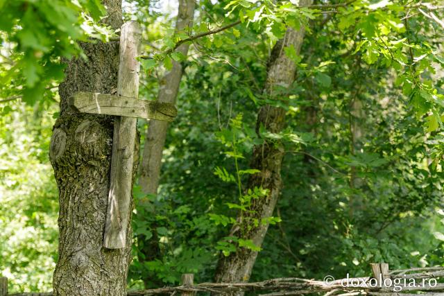 Paraclisul din poiana mănăstirii Cozancea
