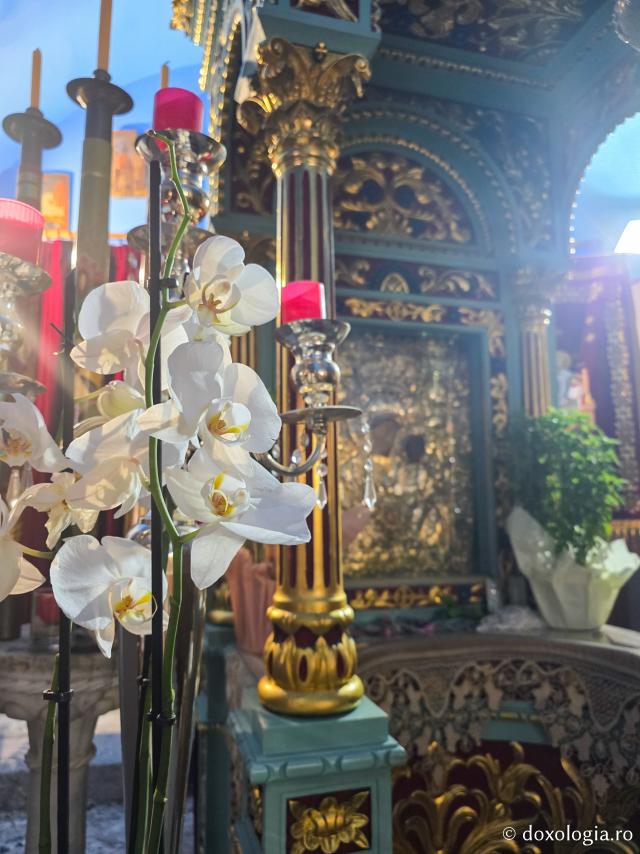 Icoana făcătoare de minuni a Maicii Domnului „Panaghia Hodighitria” - „Panaghia Castelului” – biserica din Insula Leros care adăpostește moaștele Sfintei Cuvioase Gavrilia Papaiannis