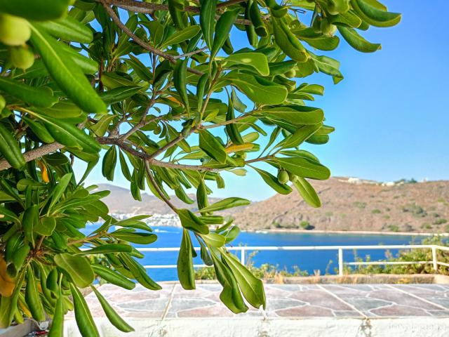 Paraclisul închinat Sfintei Mucenițe Paraschevi, bisericuța de pe stâncă din Skala, Insula Patmos