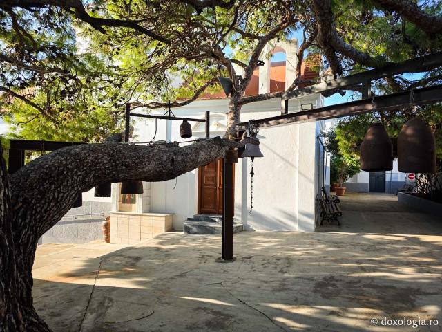  Copacul Sfântului Cuvios Sava cel Nou din Kalymnos