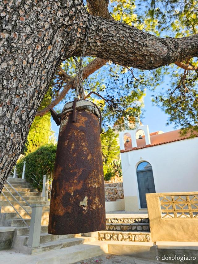  Copacul Sfântului Cuvios Sava cel Nou din Kalymnos