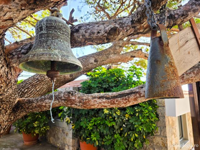  Copacul Sfântului Cuvios Sava cel Nou din Kalymnos