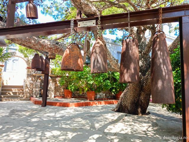  Copacul Sfântului Cuvios Sava cel Nou din Kalymnos