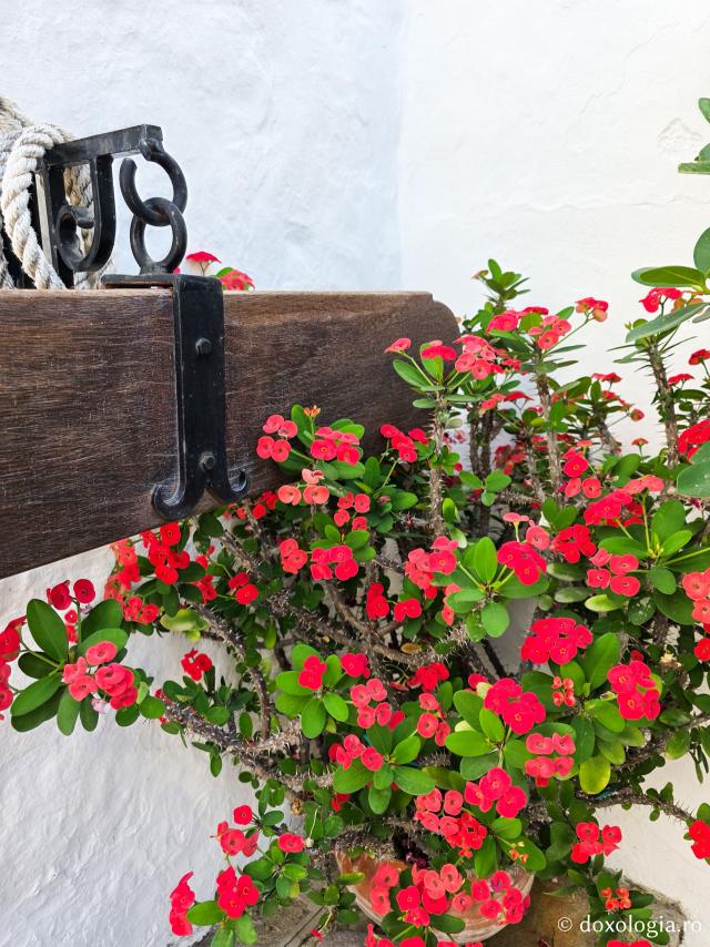 Mănăstirea „Izvorul Tămăduirii” din Patmos – locașul ce adăpostește Icoana cu trei ochi a Maicii Domnului „Eleusa” / Foto: Magda Buftea Mănăstirea „Izvorul Tămăduirii” din Patmos – locașul ce adăpostește Icoana cu trei ochi a Maicii Domnului „Eleusa”