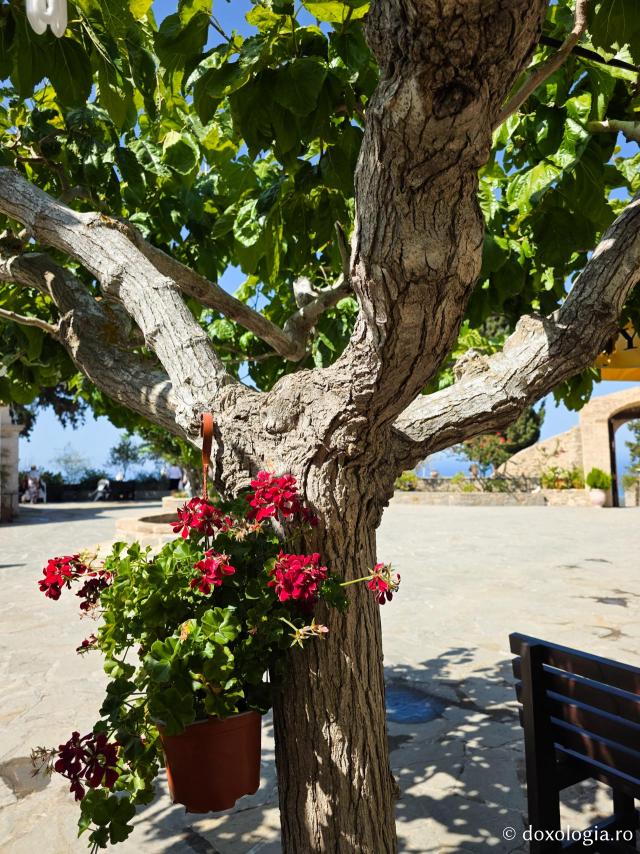 Frumusețea Mănăstirii „Panaghia Skiadeni” din Rodos