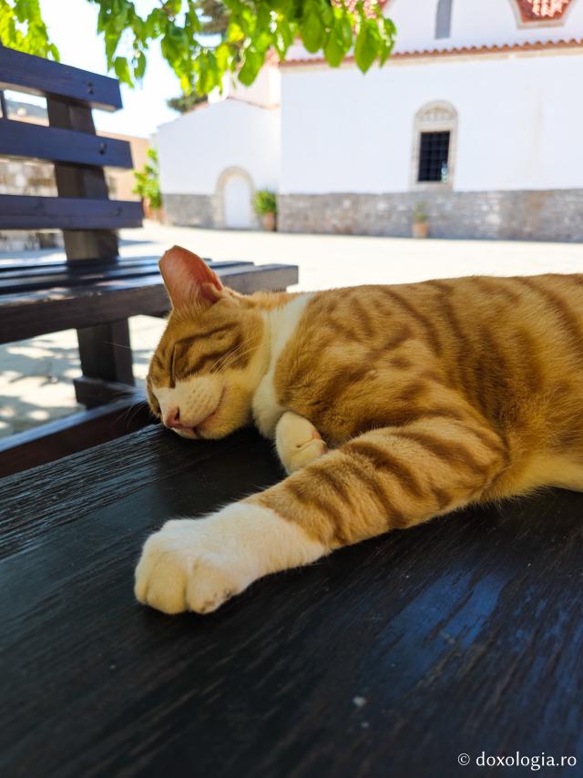 Frumusețea Mănăstirii „Panaghia Skiadeni” din Rodos
