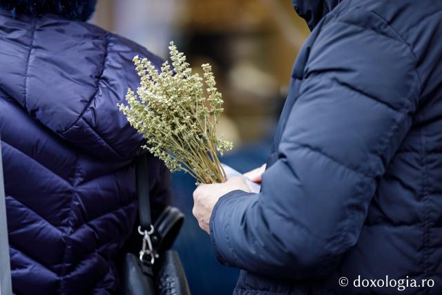Jurnal de pelerin la Sfânta Cuvioasă Parascheva – Ziua a II-a, 9 octombrie 2025 / foto: Oana Nechifor (Foto) Jurnal de pelerin la Sfânta Cuvioasă Parascheva – Ziua II