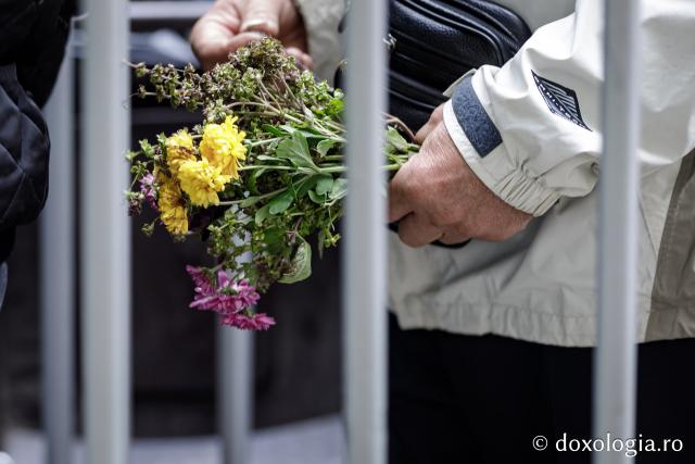 Jurnal de pelerin la Sfânta Cuvioasă Parascheva – Ziua a III-a, 10 octombrie 2025 / foto: Oana Nechifor Jurnal de pelerin la Sfânta Cuvioasă Parascheva 2025