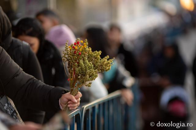 Jurnal de pelerin la Sfânta Cuvioasă Parascheva – Ziua a IV-a, 11 octombrie 2025 / foto: Claudiu Pântea (Foto) Dor de sfinți și chipuri luminate: jurnal de pelerin la Sfânta Cuvioasă Parascheva – Ziua a IV-a