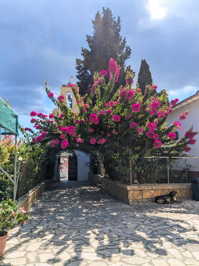 Pe urmele Cuvioasei Anastasia Vlachos la Mănăstirea Maica Îngerilor „Kyra” din Corfu