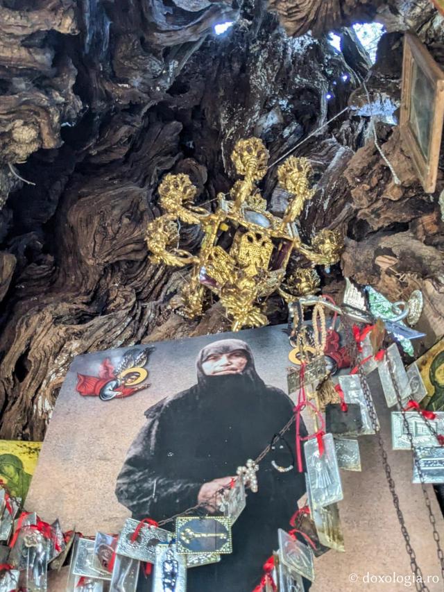 Pe urmele Cuvioasei Anastasia Vlachos la Mănăstirea Maica Îngerilor „Kyra” din Corfu