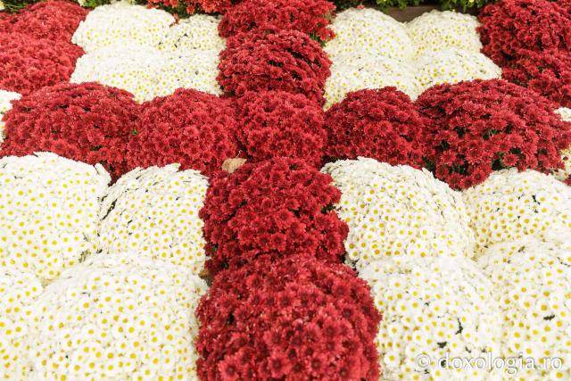 Florile Sfintei Parascheva – jertfă de frumusețe și credință, în lumina Sfântului Grigorie Palama