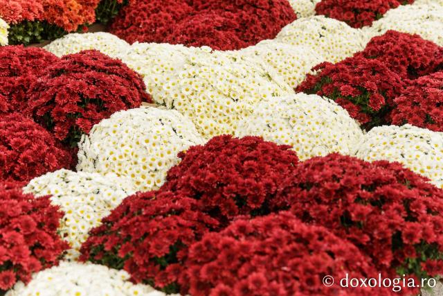 Florile Sfintei Parascheva – jertfă de frumusețe și credință, în lumina Sfântului Grigorie Palama