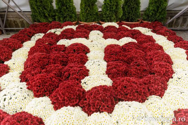 Florile Sfintei Parascheva – jertfă de frumusețe și credință, în lumina Sfântului Grigorie Palama