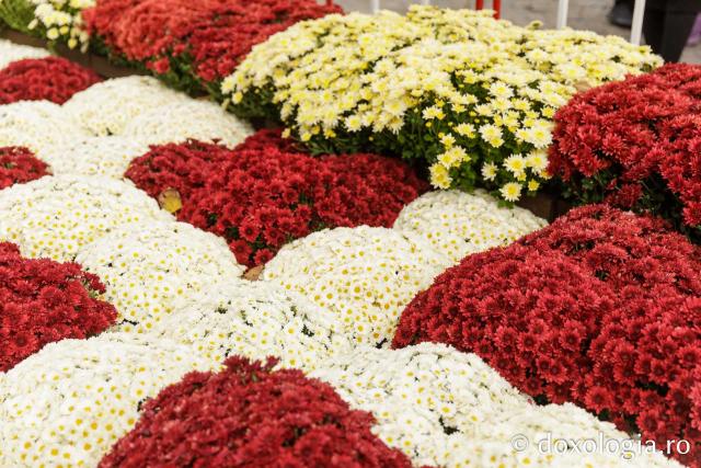 Florile Sfintei Parascheva – jertfă de frumusețe și credință, în lumina Sfântului Grigorie Palama