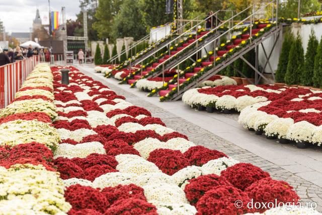 Florile Sfintei Parascheva – jertfă de frumusețe și credință, în lumina Sfântului Grigorie Palama