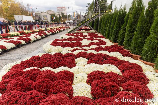 Florile Sfintei Parascheva – jertfă de frumusețe și credință, în lumina Sfântului Grigorie Palama