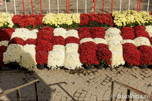 Florile Sfintei Parascheva – jertfă de frumusețe și credință, în lumina Sfântului Grigorie Palama