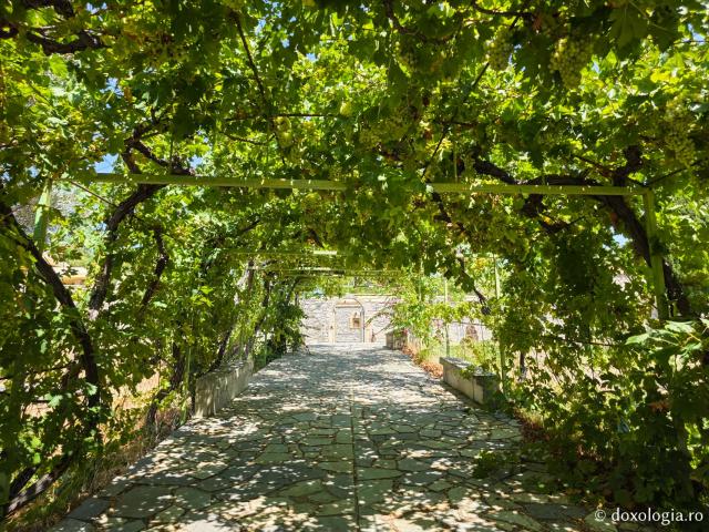 Izvorul cu apă sfințită de la Mănăstirea „Sfântul Arhanghel Mihail” Tharri din Rodos