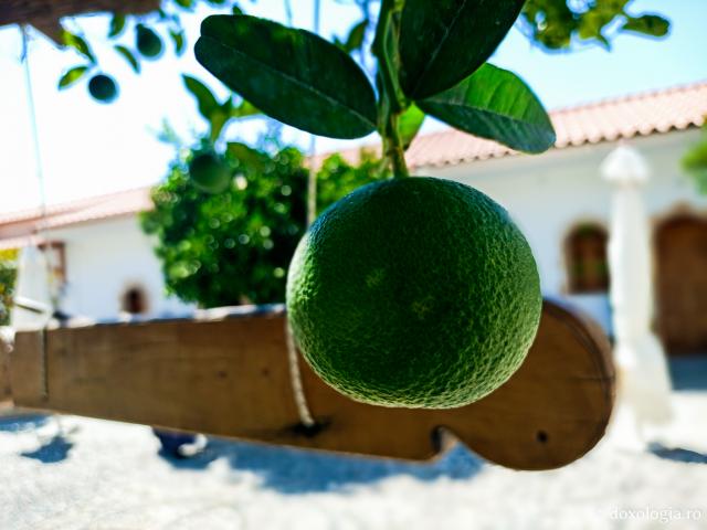 Clipe de zăbavă la Mănăstirea „Panaghia Ypseni” din Insula Rodos