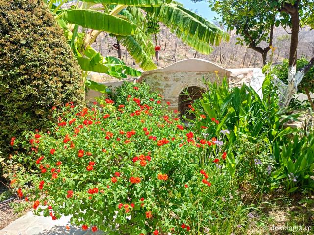 Clipe de zăbavă la Mănăstirea „Panaghia Ypseni” din Insula Rodos