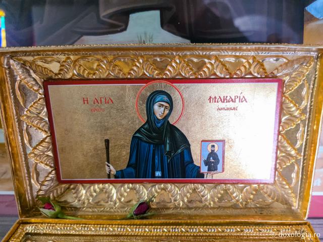 Închinare la moaștele Cuvioasei Macaria, monahia care a descoperit moaștele Sfântului Efrem cel Nou