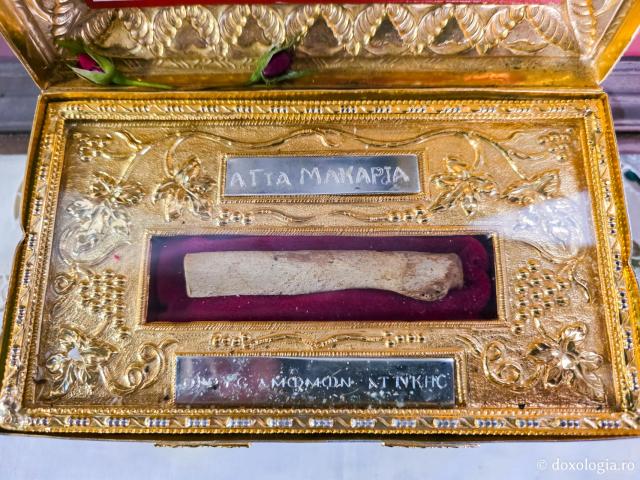 Închinare la moaștele Cuvioasei Macaria, monahia care a descoperit moaștele Sfântului Efrem cel Nou
