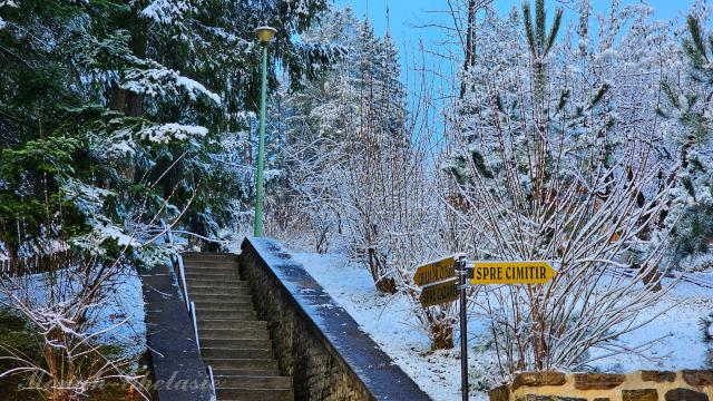 (Foto) Văl de nea peste Mănăstirea Sihăstria – 19 noiembrie 2025