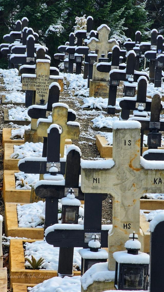 (Foto) Văl de nea peste Mănăstirea Sihăstria – 19 noiembrie 2025