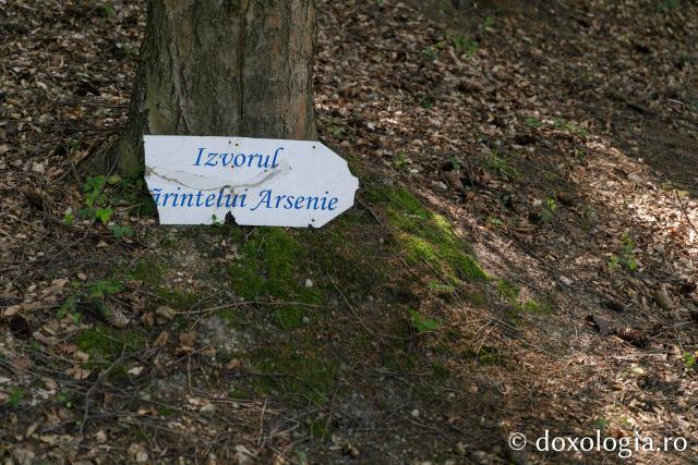 Izvorul Sfântului Cuvios Mărturisitor Arsenie de la Prislop