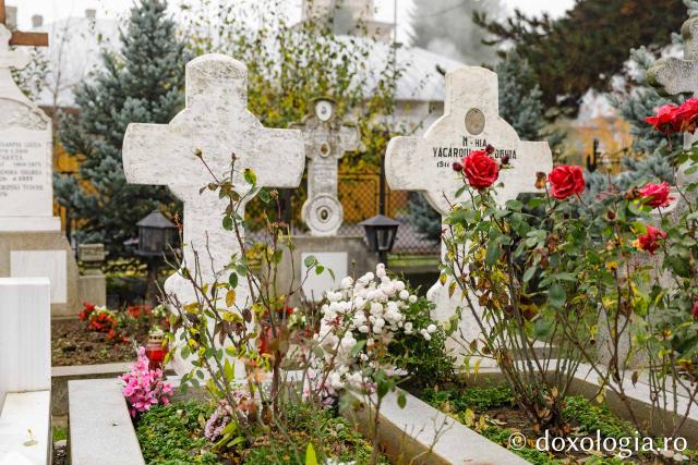 Mormântul Cuvioasei Evloghia Țârlea