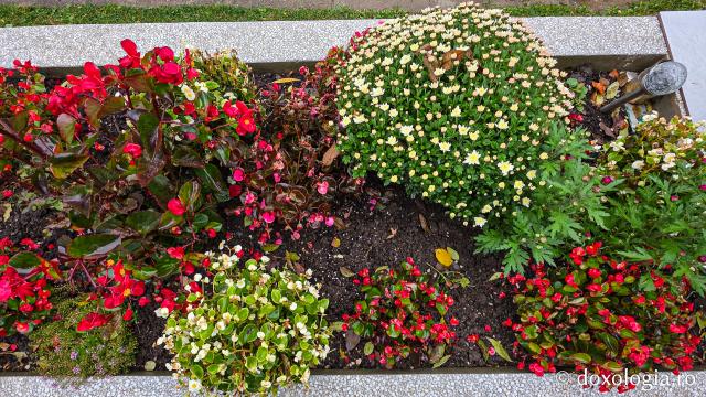 Mormântul Sfintei Filotimia de la Râmeț