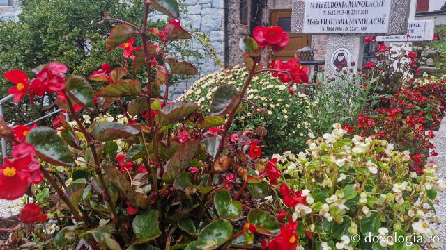 Mormântul Sfintei Filotimia de la Râmeț