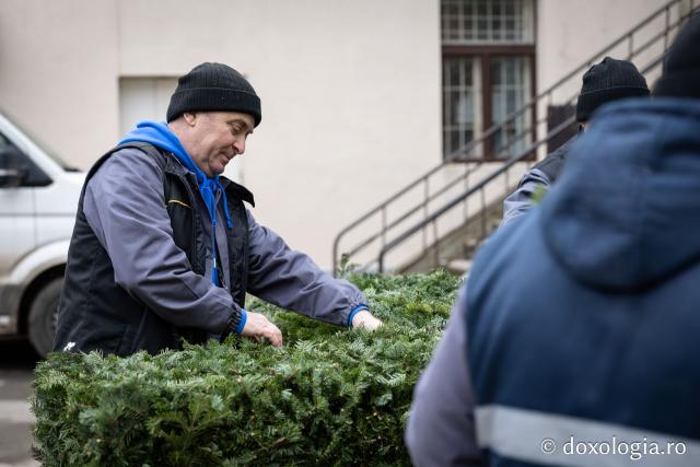 (Foto) Veșmânt din cetină și crizanteme: Cum a fost împodobită Crucea de Bobotează la Catedrala Mitropolitană din Iași