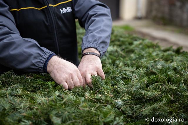 (Foto) Veșmânt din cetină și crizanteme: Cum a fost împodobită Crucea de Bobotează la Catedrala Mitropolitană din Iași