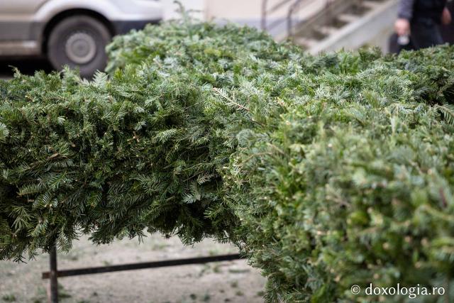 (Foto) Veșmânt din cetină și crizanteme: Cum a fost împodobită Crucea de Bobotează la Catedrala Mitropolitană din Iași
