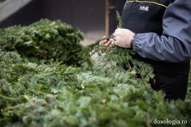 (Foto) Veșmânt din cetină și crizanteme: Cum a fost împodobită Crucea de Bobotează la Catedrala Mitropolitană din Iași