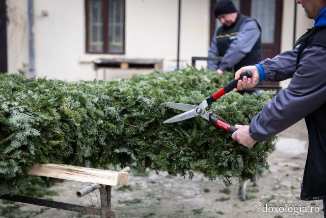 (Foto) Veșmânt din cetină și crizanteme: Cum a fost împodobită Crucea de Bobotează la Catedrala Mitropolitană din Iași