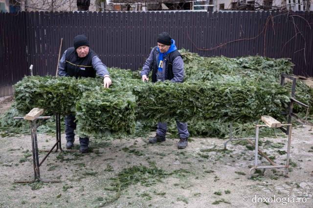 (Foto) Veșmânt din cetină și crizanteme: Cum a fost împodobită Crucea de Bobotează la Catedrala Mitropolitană din Iași