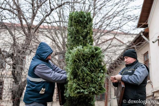 (Foto) Veșmânt din cetină și crizanteme: Cum a fost împodobită Crucea de Bobotează la Catedrala Mitropolitană din Iași