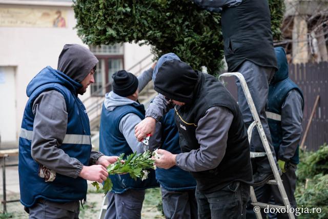 (Foto) Veșmânt din cetină și crizanteme: Cum a fost împodobită Crucea de Bobotează la Catedrala Mitropolitană din Iași