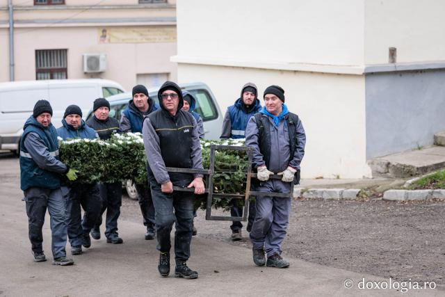 (Foto) Veșmânt din cetină și crizanteme: Cum a fost împodobită Crucea de Bobotează la Catedrala Mitropolitană din Iași