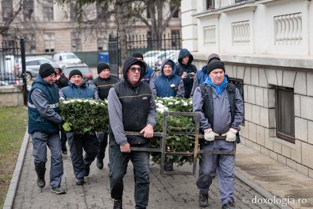 (Foto) Veșmânt din cetină și crizanteme: Cum a fost împodobită Crucea de Bobotează la Catedrala Mitropolitană din Iași