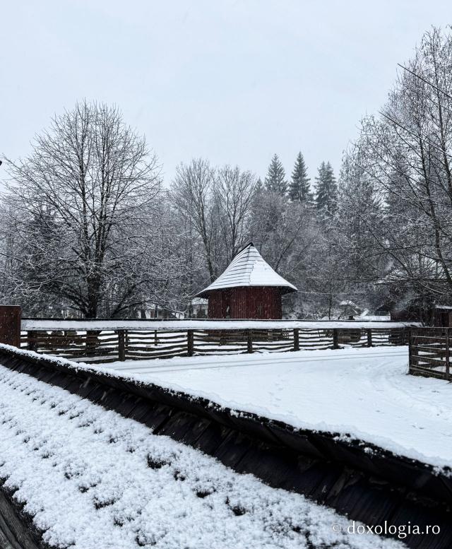 Cimitirul Mănăstirii Sihăstria Putnei, sub veșmântul alb al ninsorii
