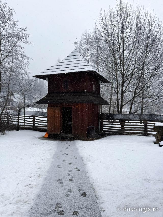 Cimitirul Mănăstirii Sihăstria Putnei, sub veșmântul alb al ninsorii
