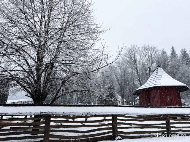 Cimitirul Mănăstirii Sihăstria Putnei, sub veșmântul alb al ninsorii