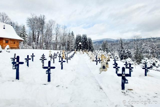 Tăcerea zăpezii la Sihăstria – frumusețea unei zile de februarie