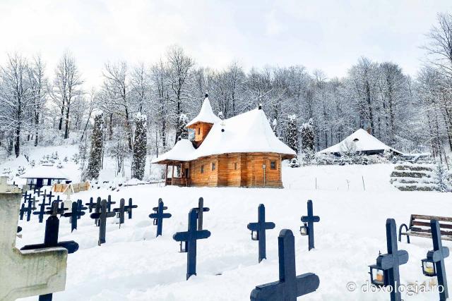 Tăcerea zăpezii la Sihăstria – frumusețea unei zile de februarie